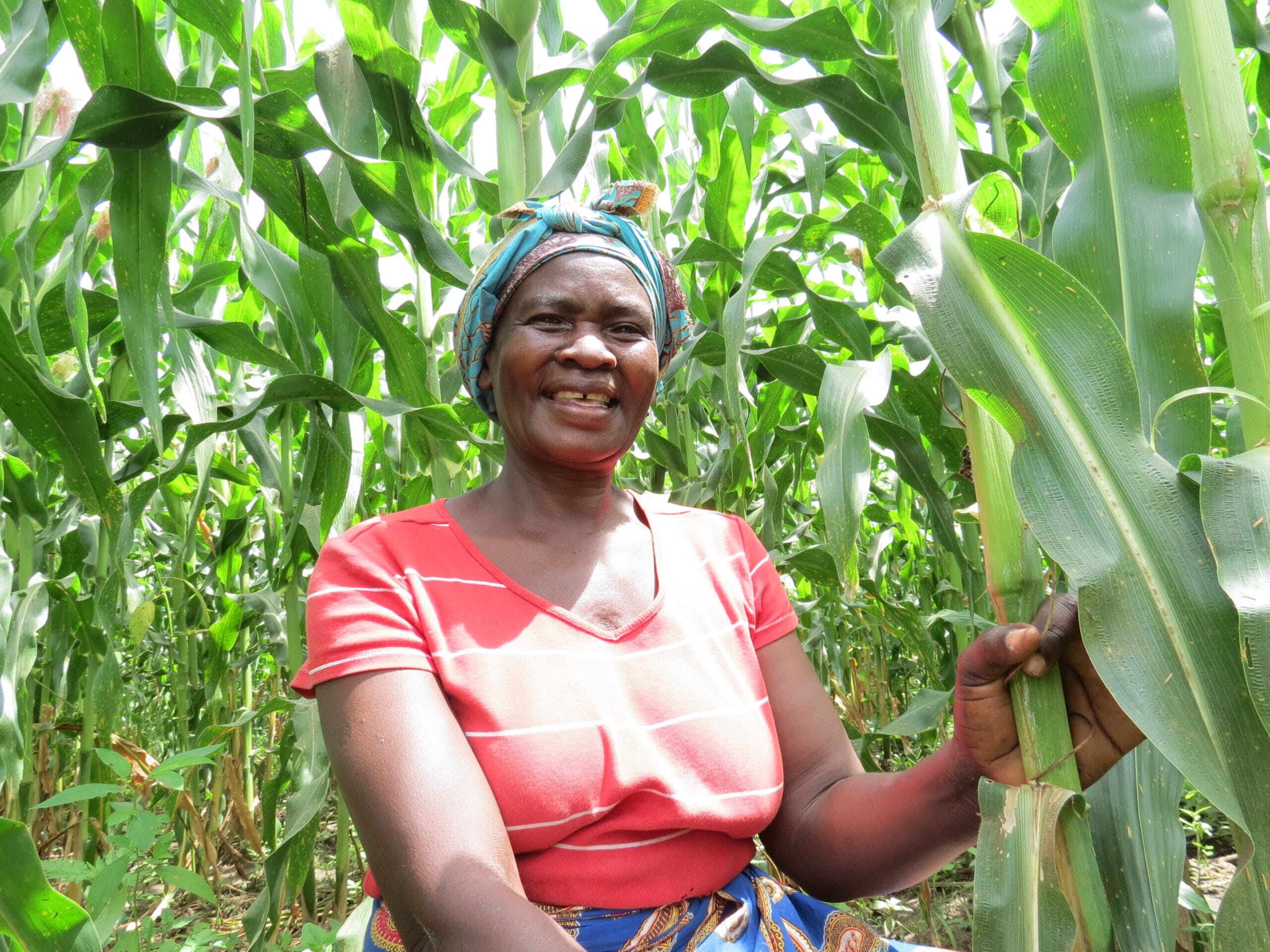 IMG_2979-scaled.jpg?w=600&h=450&scale