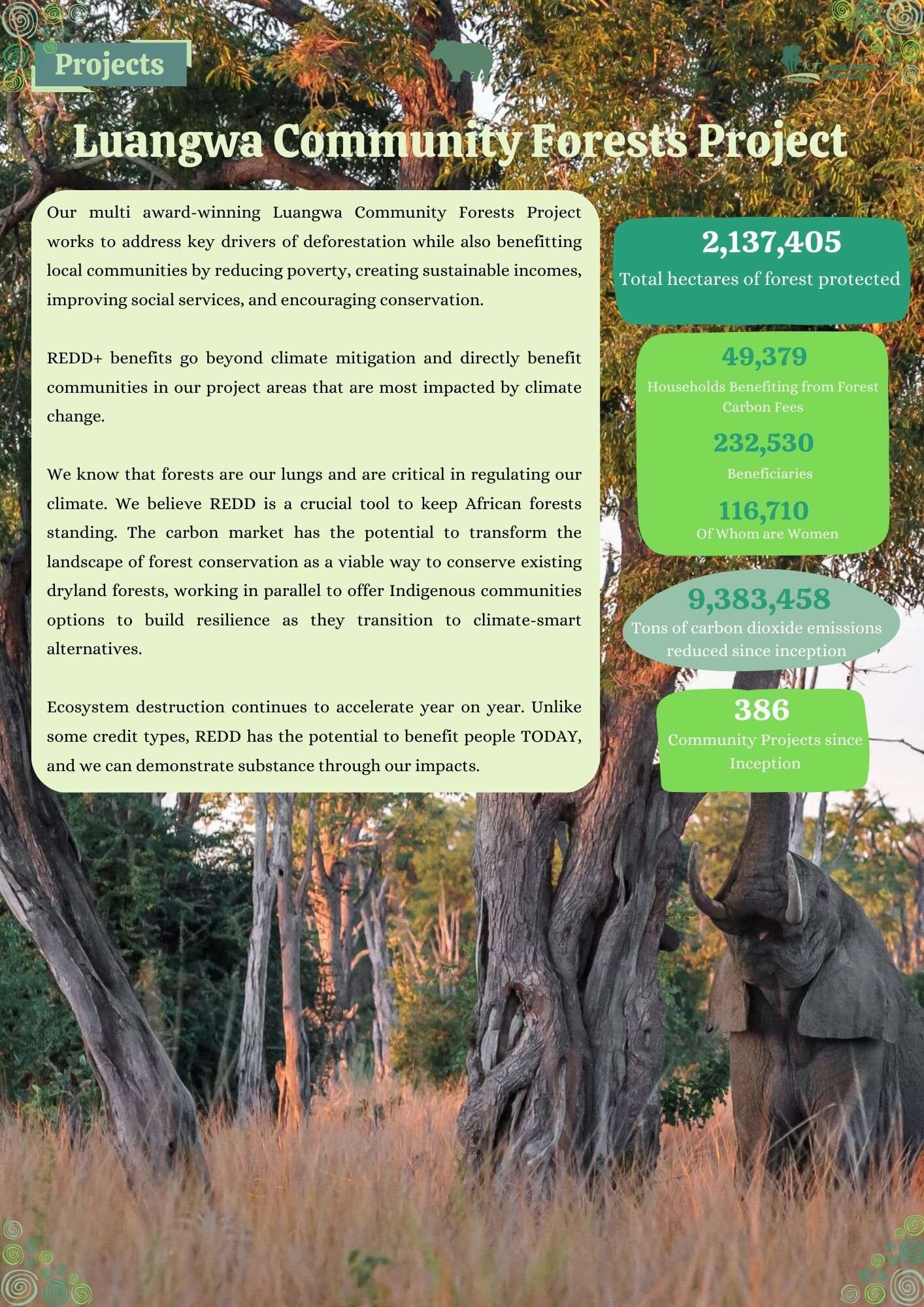 LCFP-Brochure.jpg?w=724&h=1024&scale