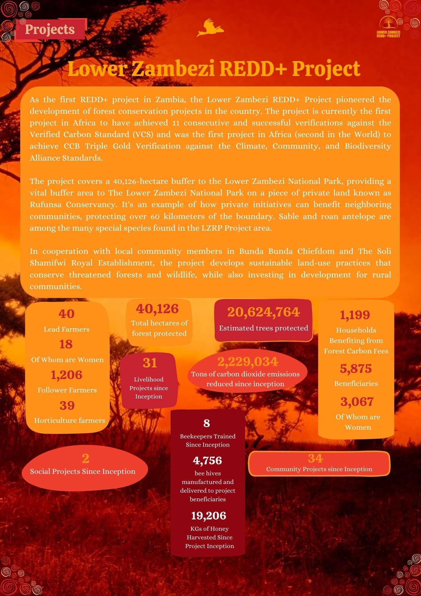 LZRP-Brochure.jpg?w=724&h=1024&scale